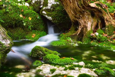 Güzel bir sonbahar dere Bohinj yakınındaki görünümü