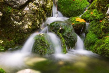 Güzel bir sonbahar dere Bohinj yakınındaki görünümü