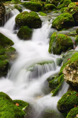 Güzel bir sonbahar dere Bohinj yakınındaki görünümü