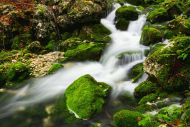 Güzel bir sonbahar dere Bohinj yakınındaki görünümü
