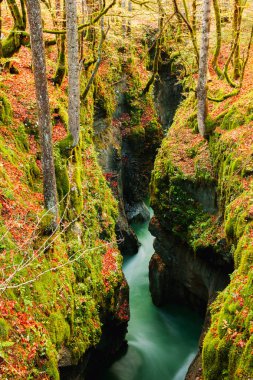 Kanyon Mostnica Slovenya Bohinj Gölü yakınındaki