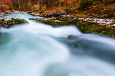 Kanyon Mostnica Slovenya Bohinj Gölü yakınındaki