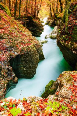 Kanyon Mostnica Slovenya Bohinj Gölü yakınındaki