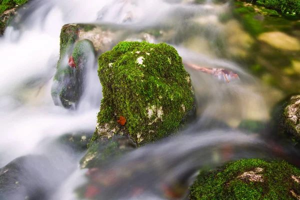 Pohled na krásné podzimní creek u Bohinje — Stock fotografie