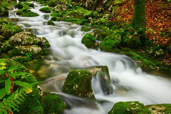 Vue d'un magnifique ruisseau d'automne près de Bohinj — Photo