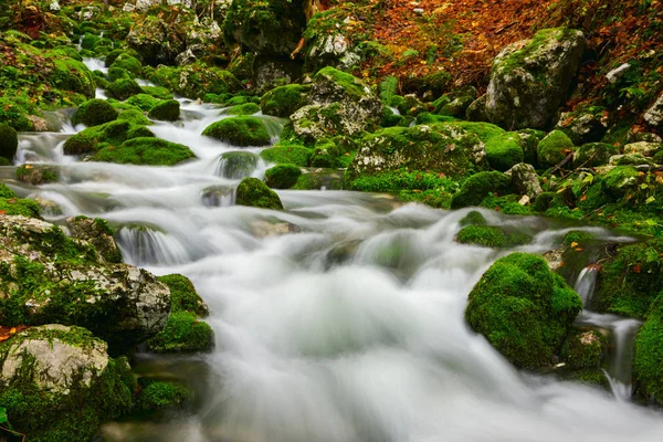 Vue d'un magnifique ruisseau d'automne près de Bohinj — Photo