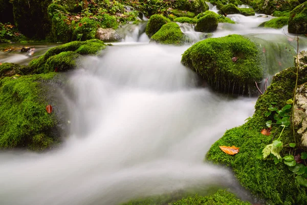 Widok piękny jesienny potoku w pobliżu Bohinj — Zdjęcie stockowe
