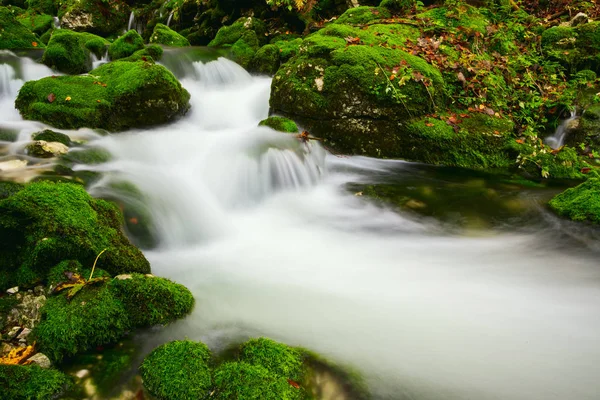 Widok piękny jesienny potoku w pobliżu Bohinj — Zdjęcie stockowe