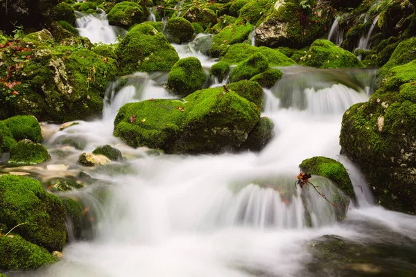 Uitzicht op een prachtige herfst kreek in de buurt van Bohinj — Stockfoto