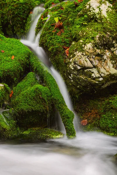 View of a beautiful autumn creek near Bohinj — Stock Photo, Image