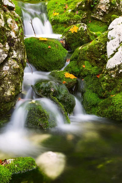 Vue d'un magnifique ruisseau d'automne près de Bohinj — Photo