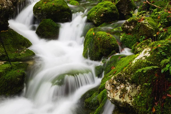 Uitzicht op een prachtige herfst kreek in de buurt van Bohinj — Stockfoto