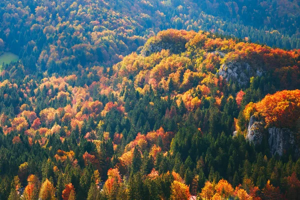 Il paesaggio autunnale di montagna con foresta colorata — Foto Stock