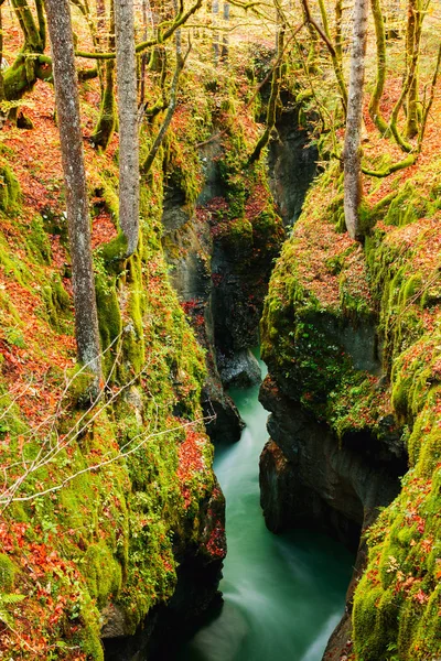 Canyon Mostnica in de buurt van lake Bohinj in Slovenië — Stockfoto