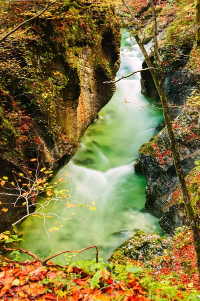 Schlucht mostnica in der Nähe des Bohinjer Sees in Slowenien — Stockfoto