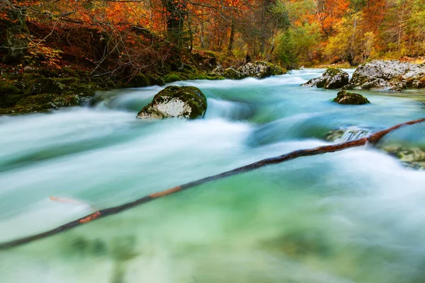 Kanyon Mostnica Slovenya Bohinj Gölü yakınındaki