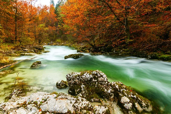 Kanjon Mostnica nära sjön Bohinj i Slovenien — Stockfoto