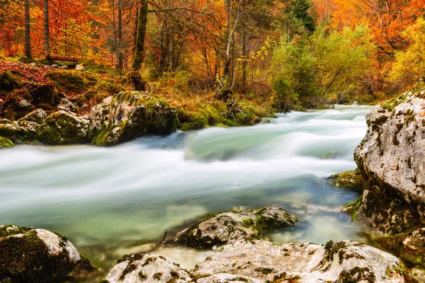 Kanjon Mostnica nära sjön Bohinj i Slovenien — Stockfoto