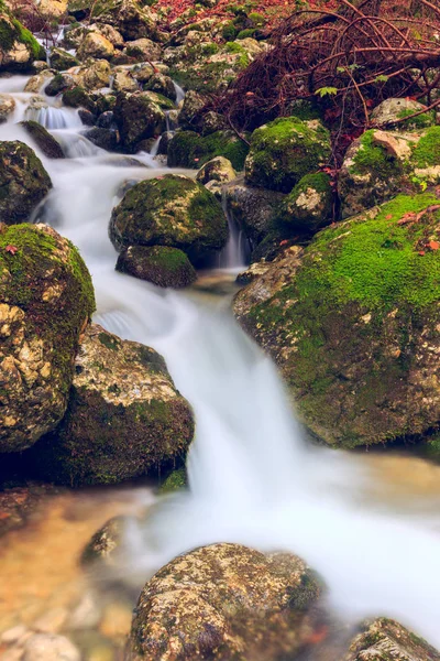 Pohled na krásné podzimní creek u Bohinje — Stock fotografie