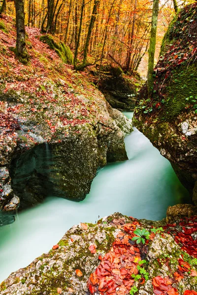 Каньйон Mostnica біля озера Бохінь в Словенії — стокове фото