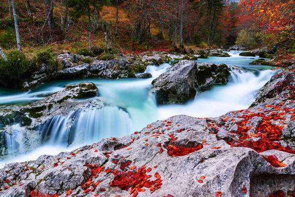 Canyon Mostnica perto do lago Bohinj na Eslovénia — Fotografia de Stock