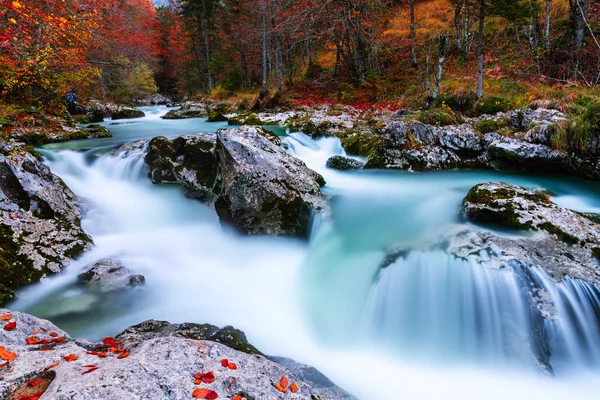 Kanjon Mostnica nära sjön Bohinj i Slovenien — Stockfoto