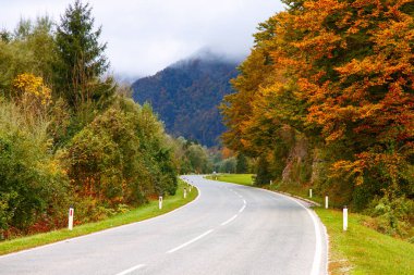 Slovenya sonbahar dağlarında yol