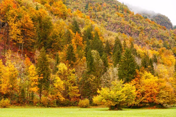 Beautiful fall scene — Stock Photo, Image