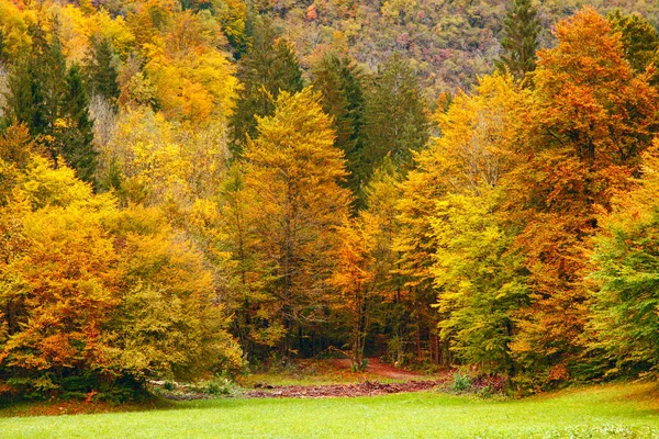 Beautiful fall scene — Stock Photo, Image