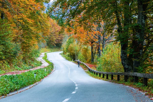 Silnice v podzimní hor ve Slovinsku — Stock fotografie