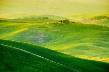 Hills, minimalist manzara inişli çıkışlı tepeler, dalgalar