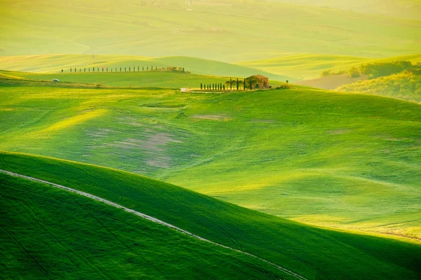 Golven van heuvels, glooiende heuvels, minimalistische landschap — Stockfoto