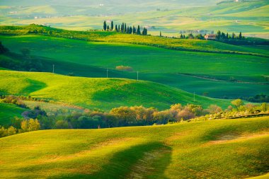 Hills, minimalist manzara inişli çıkışlı tepeler, dalgalar