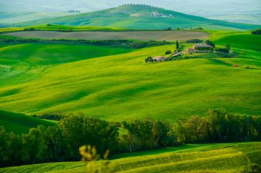 Hills, minimalist manzara inişli çıkışlı tepeler, dalgalar