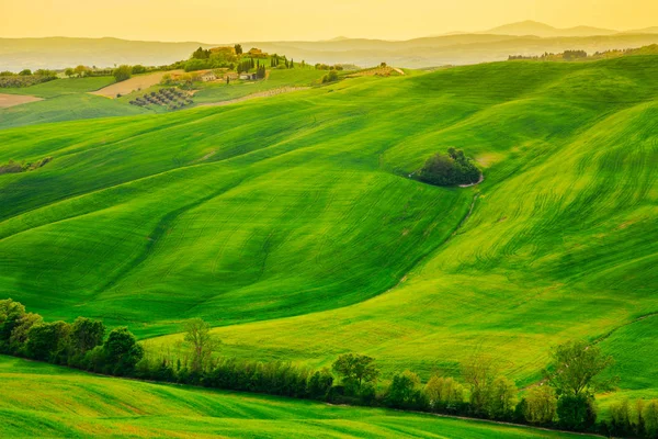 Golven van heuvels, glooiende heuvels, minimalistische landschap — Stockfoto