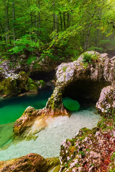Wąwóz Mostnica, Bohinj, Słowenia — Zdjęcie stockowe