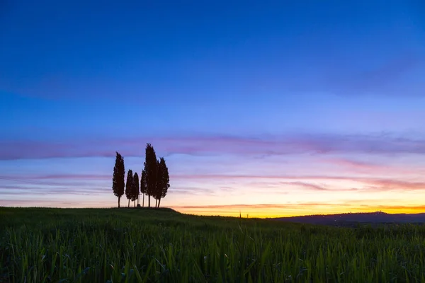 Zomer op het gebied van Toscane in de zonsopgang — Stockfoto