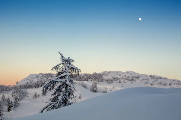 Paisagem mínima de inverno na Eslovénia-Europa — Fotografia de Stock