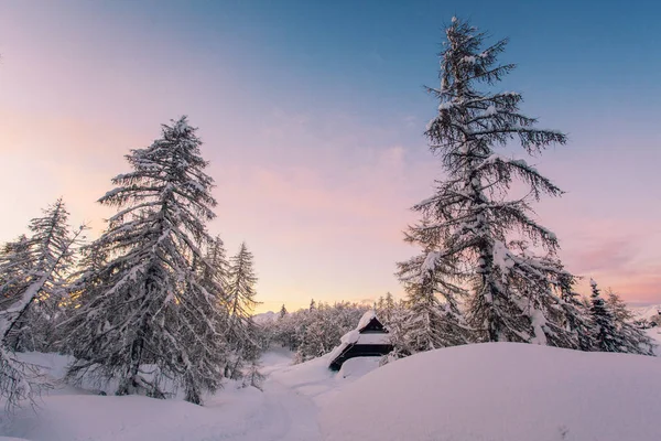 Paysage d'hiver avec petite maison en bois — Photo