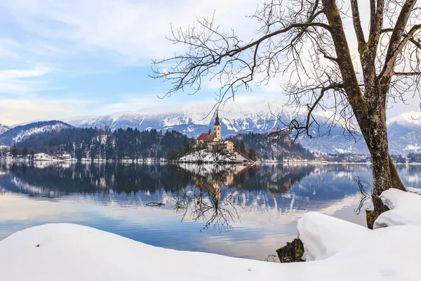 Vérzett Val Szent Marys Templom Nagyboldogasszony Kis Szigeten Bled Szlovénia — Stock Fotó