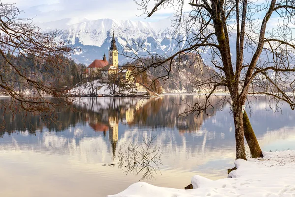 Vinterlandskap Bledsjön, Slovenien — Stockfoto