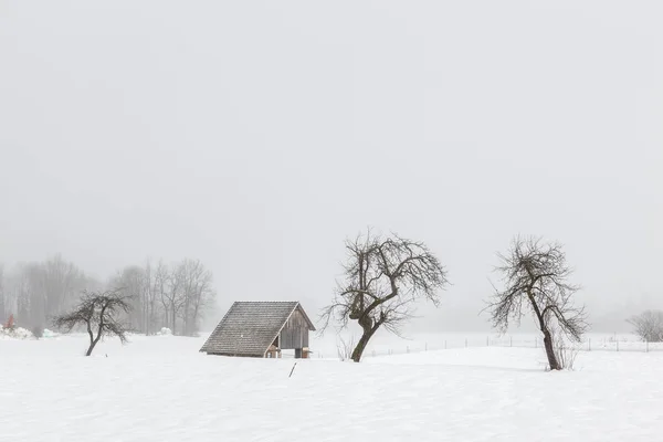 Slovenya-Avrupa'nın en az kış manzarası — Stok fotoğraf