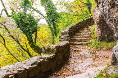 Taş patika sonbahar ormandaki