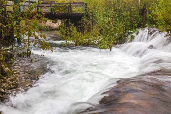 Stream flowing through in the forest — Stock Photo, Image