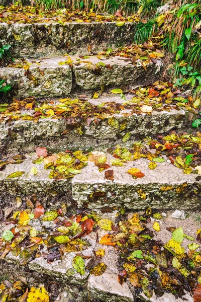 Sendero de piedra en bosque de otoño —  Fotos de Stock