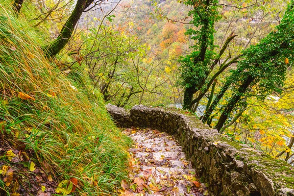 Caminho de pedra na floresta de outono — Fotografia de Stock