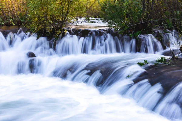 Stream flowing through in the forest — Stock Photo, Image