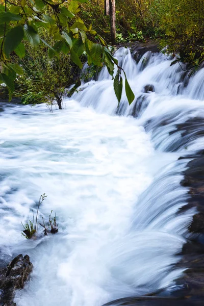 Stream flowing through in the forest — Stock Photo, Image