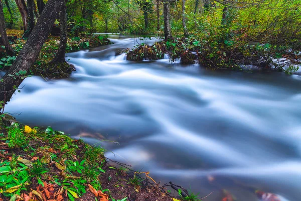 Stream flowing through in the forest — Stock Photo, Image