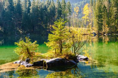 Hintersee Gölü Almanya'nın harika sonbahar